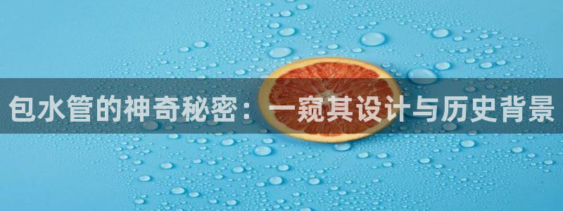 球盟会官方登录平台入口