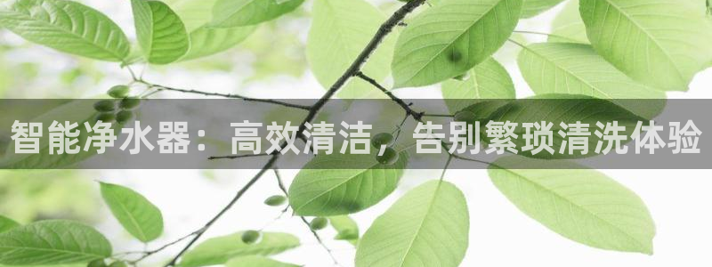 球盟会官方平台入口