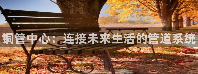 球盟会在线官网