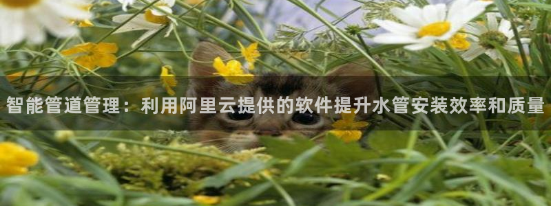 球盟会在线官网