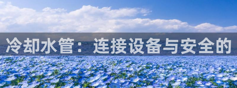 球盟会黑台子吗