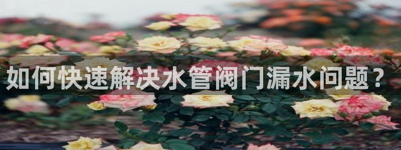 球盟会官网入口