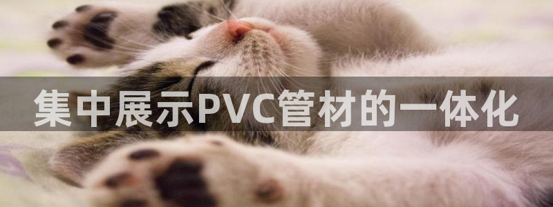 球盟会APP最新地址