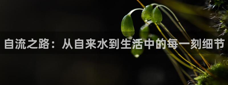 球盟会网页登录app下载地址