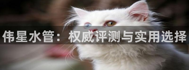 球盟会下载最新版