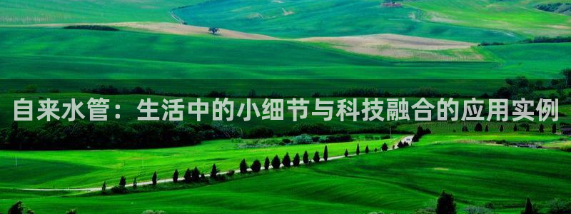 球盟会中国网页登录