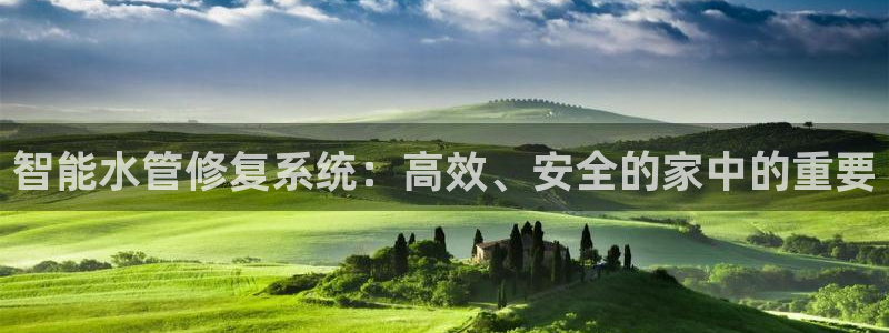 球盟会有限公司怎么样