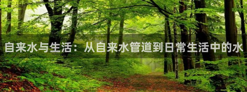 球盟会qmh登录地址