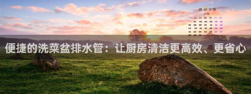 球盟会和中欧会的区别