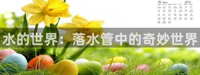 球盟会有没有黑单的球员