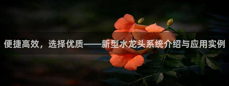 球盟会官方入口