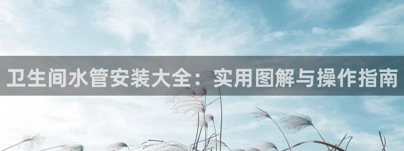 球盟会官方平台入口