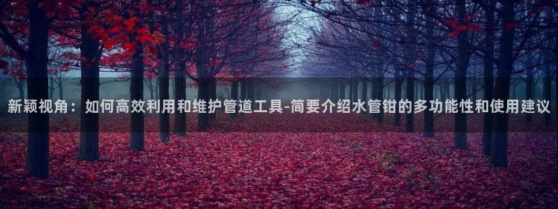 球盟会能提现吗是真的吗