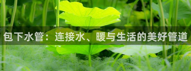 球盟会头号玩家是谁