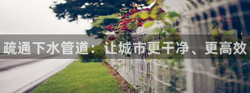 球盟会官网登录入口