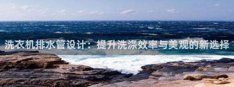 球盟会进不去