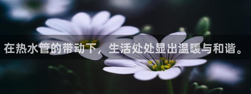 球盟会网页登录入口