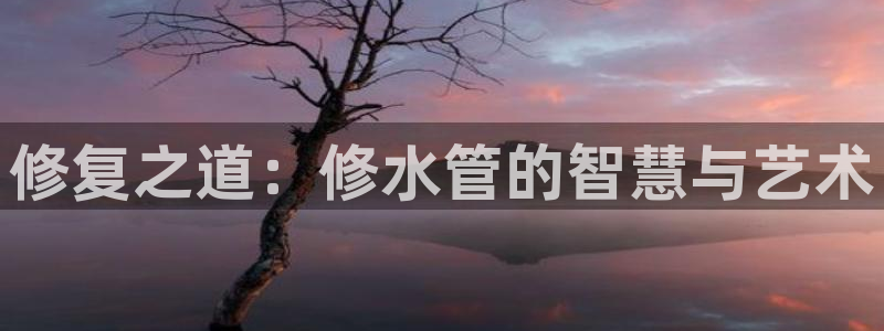 球盟会乐虎