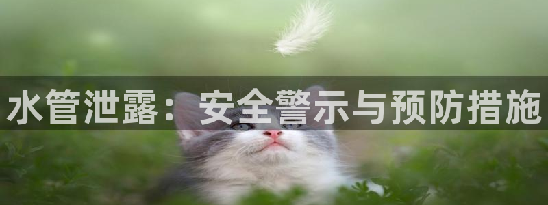 球盟会官方下载