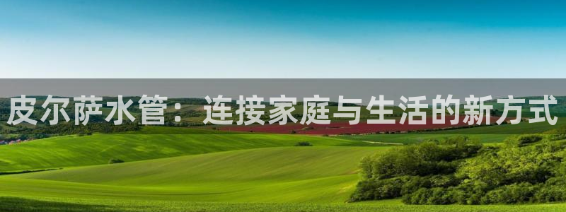 球盟会最新
