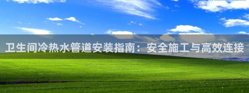 球盟会和中欧