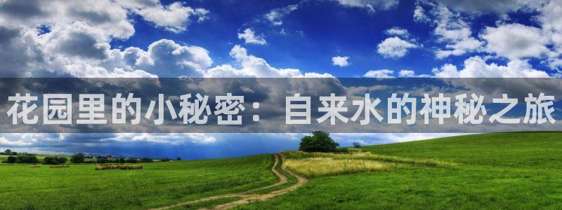 球盟会平台会黑单吗