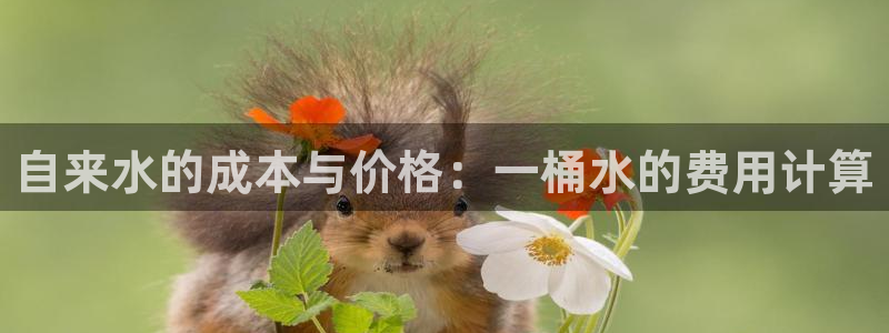 球盟会app最新地址在哪找
