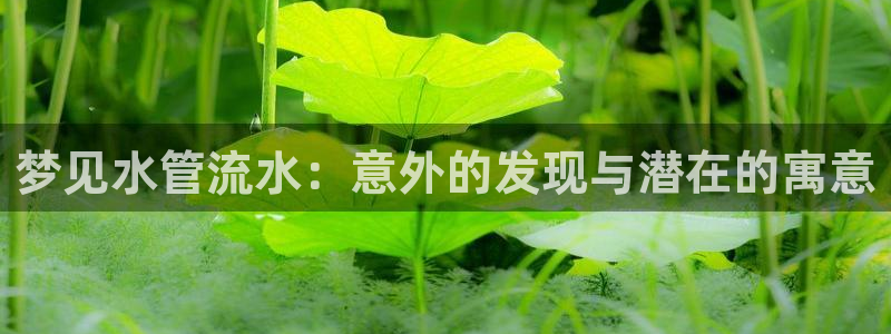 球盟会qmh登录地址