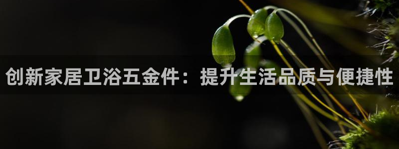 球盟会黑嘛