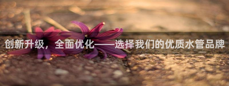 球盟会官方下载