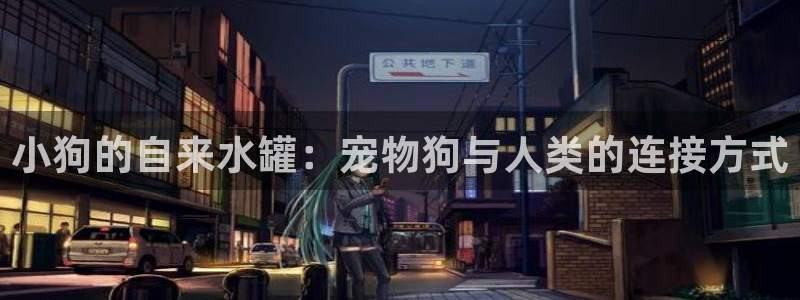 球盟会进不去