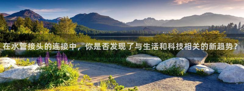 球盟会网页登录