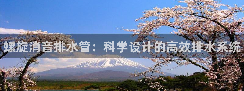 球盟会入口