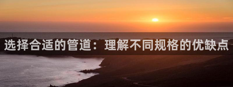 球盟会贴吧