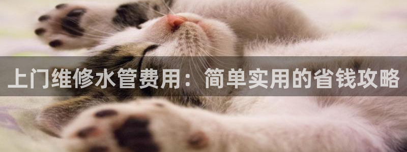 球盟会APP官网