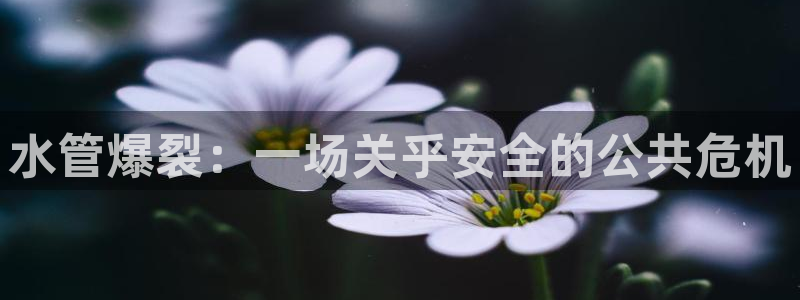 球盟会黑网