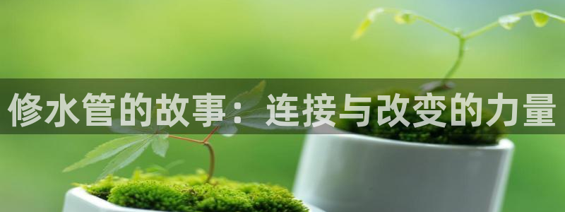球盟会qmh网页版登录 - qm球盟会官方网站