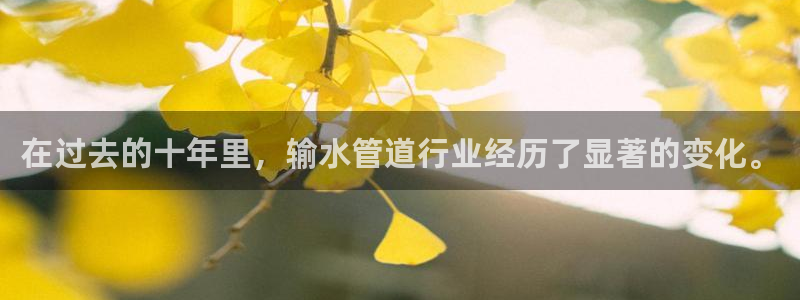球盟会官方最新入口
