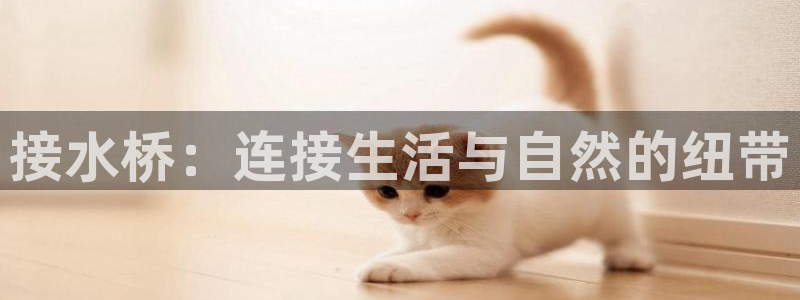 球盟会中国官方网站