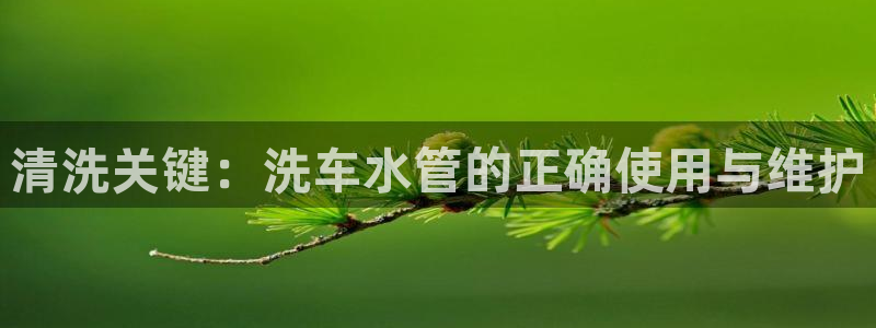 球盟会下款快吗