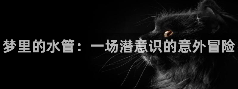 球盟会官网登录入口
